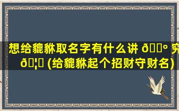 想给貔貅取名字有什么讲 🌺 究 🦊 (给貔貅起个招财守财名)